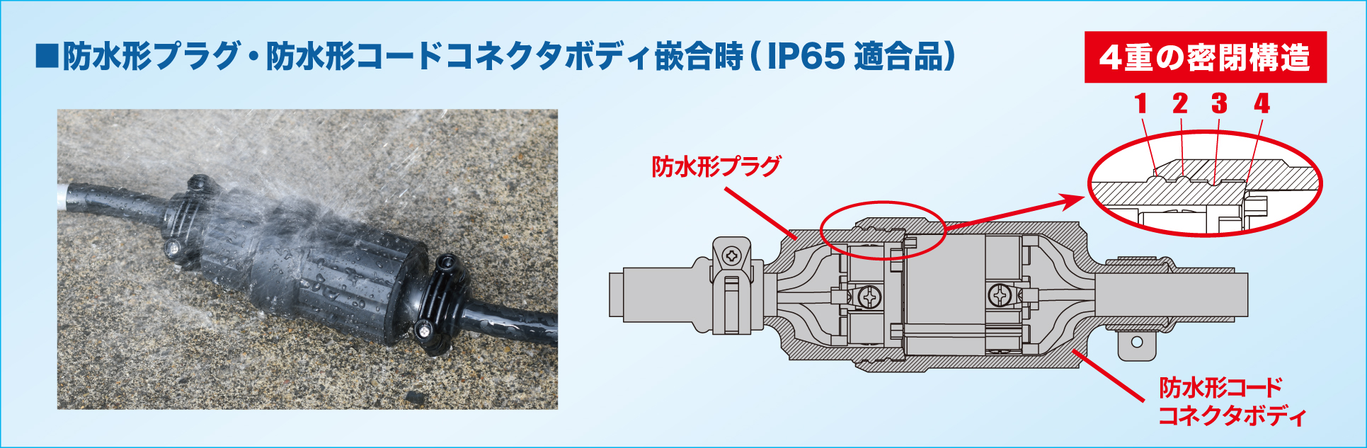 HASEGAWA 分岐ケーブル ESYシリーズ 10階用 防水コネクターボディ ESY-2EW-10 - 4